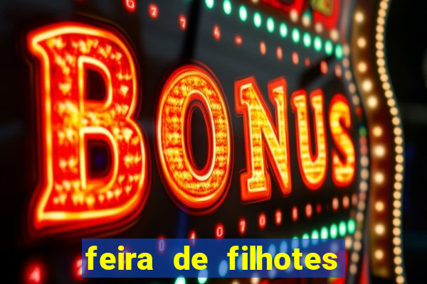 feira de filhotes porto alegre